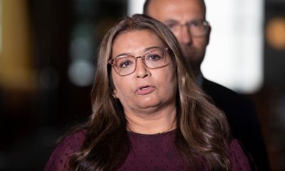 Mehreen Faruqi has legal win in ongoing Pauline Hanson racial vilification case