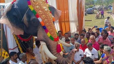 Watch | Tamil Nadu gets its first robotic temple elephant