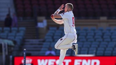 Tasmania need 316 runs to lock in home Shield final