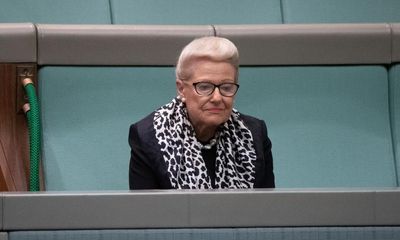 Bronwyn Bishop apologises on Sky News after accusing MP Sophie Scamps of being part of ‘antisemitic movement’