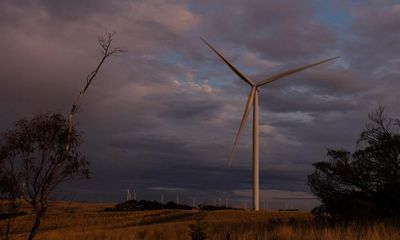 Australian renewable sector recorded ‘alarming’ slowdown in 2023, energy body finds
