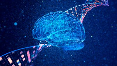 What is general intelligence in the world of AI and computers? The race for the artificial mind explained