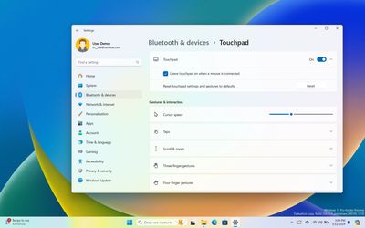 How to customize Touchpad settings on Windows 11