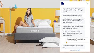 I tried to bully an AI chatbot into giving me a mattress discount – but it started bullying me right back