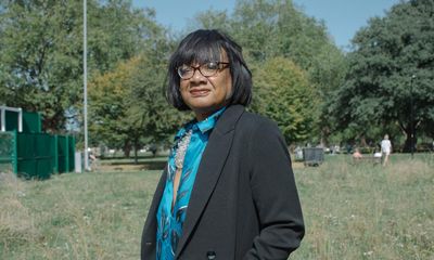 Diane Abbott abuse shames all parties