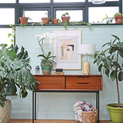 The benefits of faux plants – the well-being and practical perks of using artificial house plants