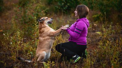 Five things a dog trainer should never say to you (according to one)