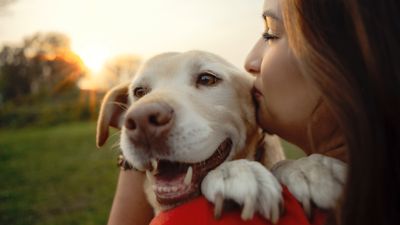 Don’t forget these five things to keep your dog happy and give them a good life