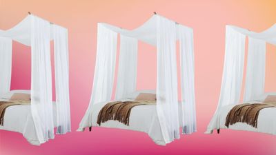 "It Makes Your Bedroom So Dreamy" — The Viral DIY Canopy Bed Trend, and the Shortcuts To Getting the Look