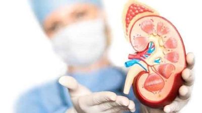 Patients with obesity and renal dysfunction may now be eligible for kidney transplants