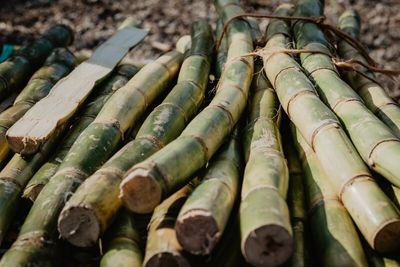 Sugar Prices Fall on Higher Indian Sugarcane Production Forecast
