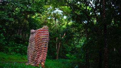 Mumbai-based artist Sarika Bajaj uses feathers to articulate ecological concerns