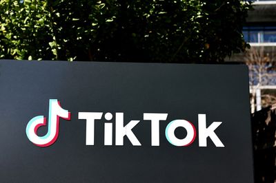 TikTok Devotees Say Platform Unfairly Targeted For US Ban