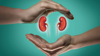 World Kidney Day 2024: Understanding the risk factors behind renal disorders