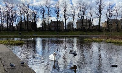 Country diary: This wee park is a suburban underdog