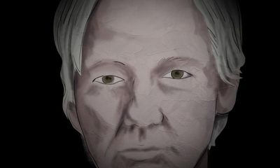 The Trust Fall: Julian Assange review – partisan portrait of WikiLeaks man