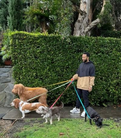 John Legend's Tranquil Stroll With Beloved Canine Companions
