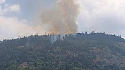 Forest fire in Coonoor for third consecutive day