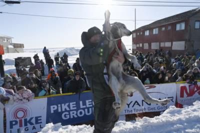 Iditarod Race Controversy Sparks Debate On Dog Mushing Ethics