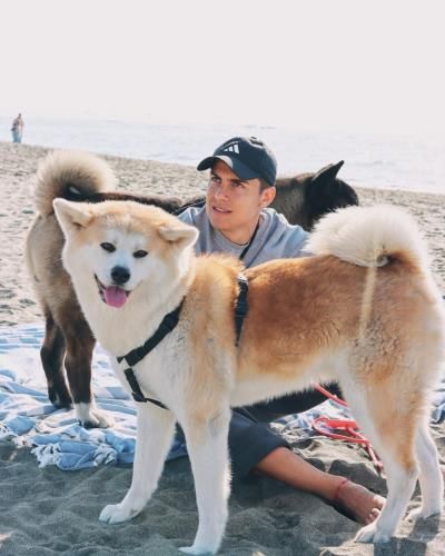 Paulo Dybala's Heartwarming Connection With His Beloved Dogs