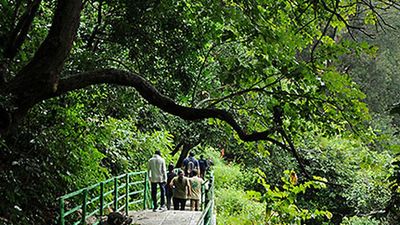 Telangana to form panel for exploring ecotourism potential