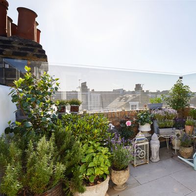 5 balcony garden mistakes that small-space dwellers should avoid, according to experts