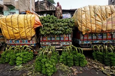 India's February Wholesale Prices Rise 0.20%, Pace Slows