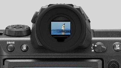 "It's time to tackle wildlife or sports photography with the GFX system," says Fujifilm
