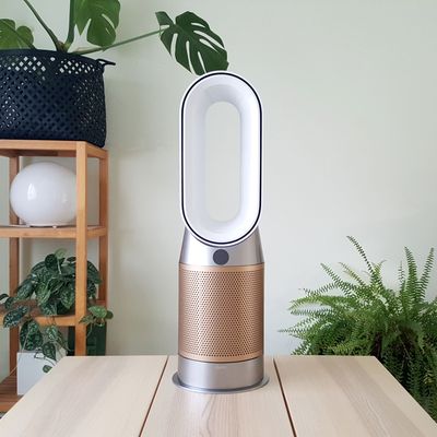 Why the Dyson Hot+Cool Formaldehyde air purifier won me over, despite its high price tag
