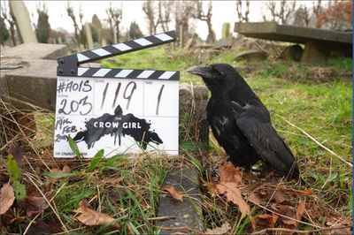 The Crow Girl: cast, plot and everything we know