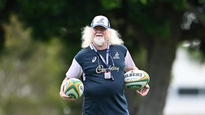 Schmidt brings Laurie Fisher back into Wallabies' camp