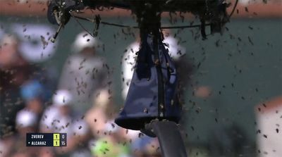 Indian Wells Tennis Quarterfinal Suspended Due to Bee Invasion