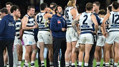 Cats strike balance between youth and experience: coach