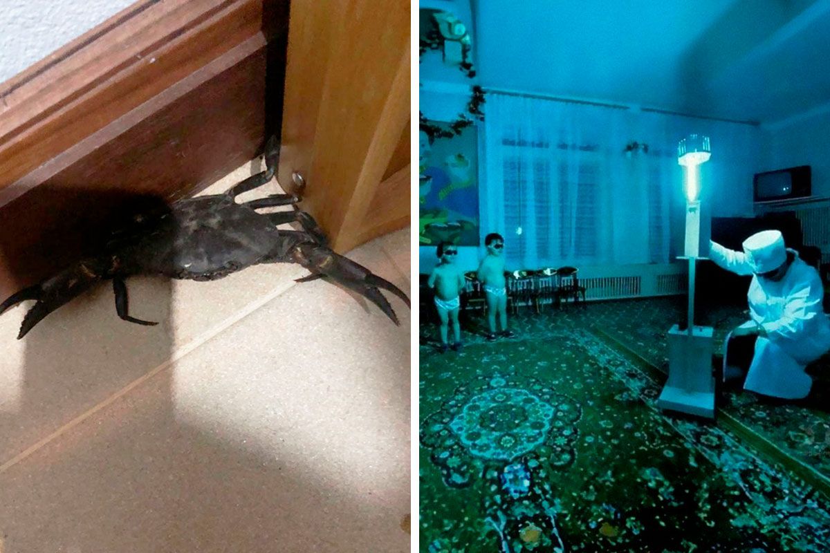 “For The Weird, Strange, Odd And