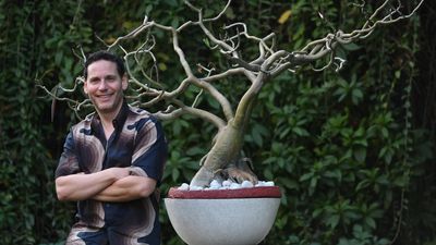‘Indian design is having a contemporary renaissance’: David Alhadeff
