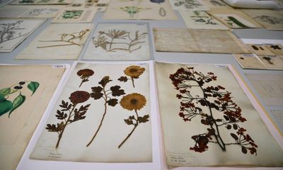 Darwin’s plant specimens stored for 200 years to go on public display