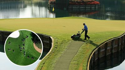 'Environmentally Insensitive' TPC Sawgrass Video Causes Considerable Debate Among Fans