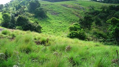 Mathikettan Shola ensures water security to Santhanpara panchayat in Munnar
