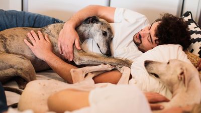Letting your pet sleep in your bed with you might actually improve your sleep