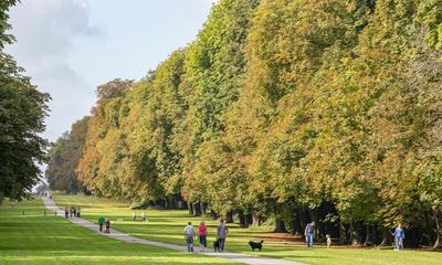 The Guardian view on genteel protest: don’t put a price on the peaceful enjoyment of England’s green fields