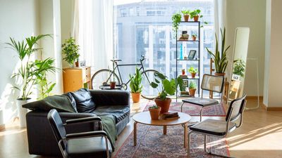 City living doesn’t stop me from flexing my green fingers – these are my tips for apartment gardening