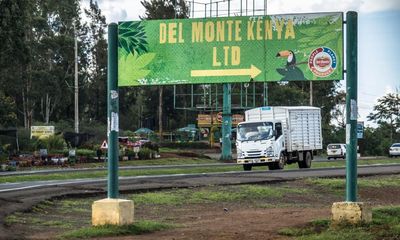 ‘I saw many people suffer’: former Del Monte Kenya guards speak of violence on pineapple farm