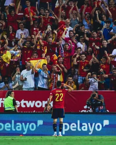 Pablo Sarabia's Heartfelt Salute To Fans And National Team