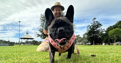 Lambton Park goes to the dogs at free weekend pet microchipping event in Newcastle