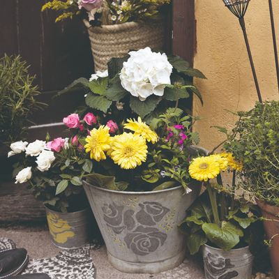 9 of the best upcycled planter ideas to turn unwanted items into prized pots for the garden