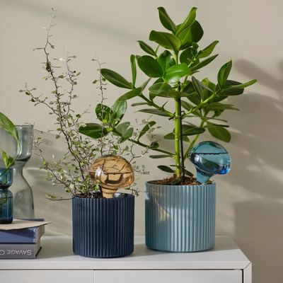 This £10 IKEA gardening accessory is a game-changer if you often forget to water your plants