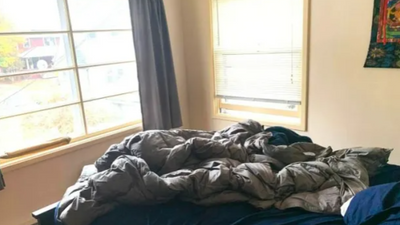 Optical Illusion: Only those with a sharp vision can spot the cat in this picture