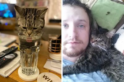 50 Hilariously Unexpected “My House, Not My Cat” Moments (Best-Of-All-Time Edition)