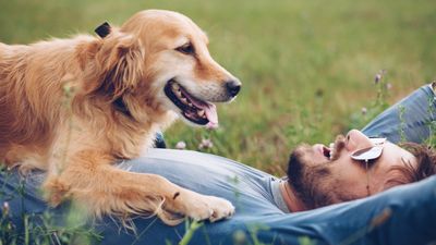 Teach your dog to respect your personal space with this trainer's simple piece of advice