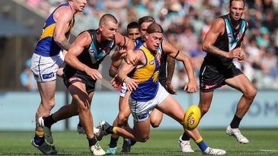Hyped West Coast draftee at home in the AFL: Simpson